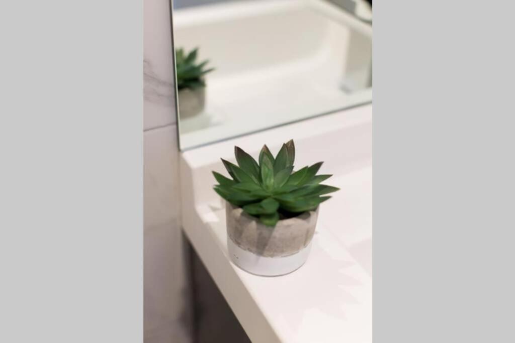 Wonderful Studio In Little Italy With Full Bath By Den Stays Montreal Zewnętrze zdjęcie